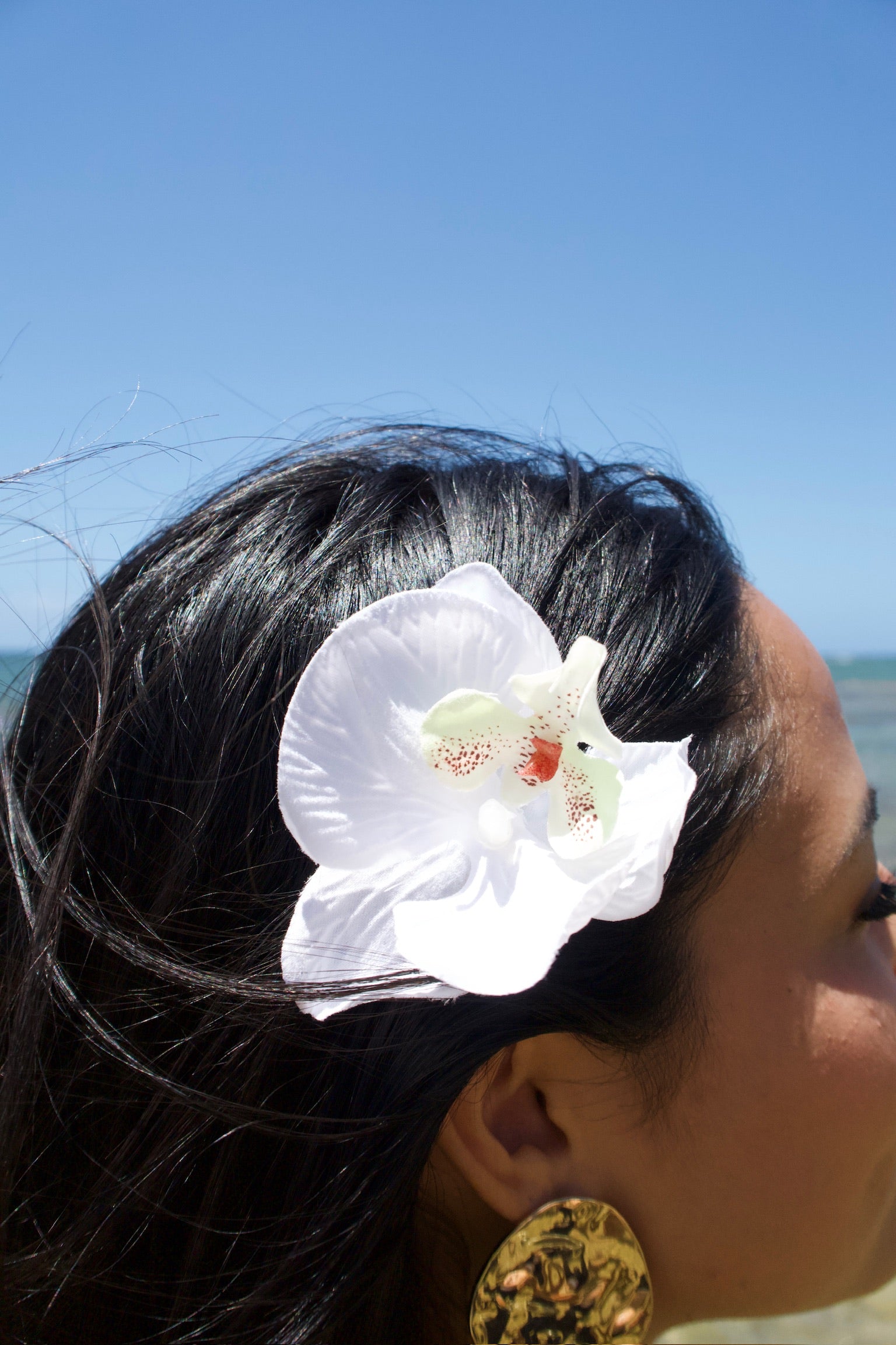 Orquídeas
